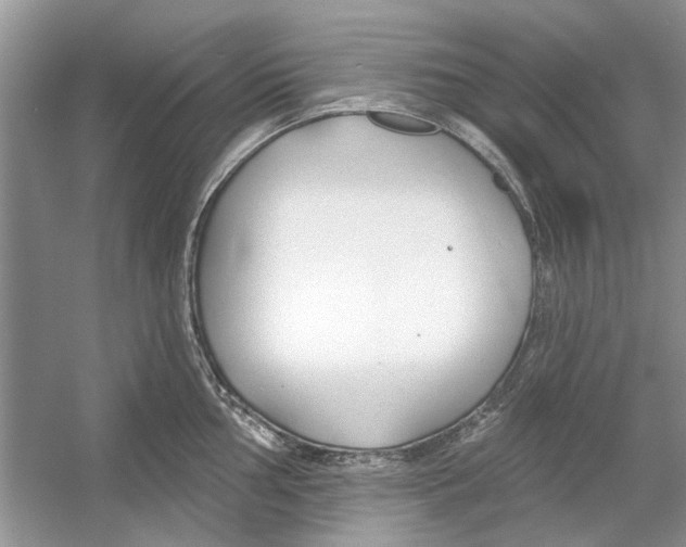 X0000053001002200508051129