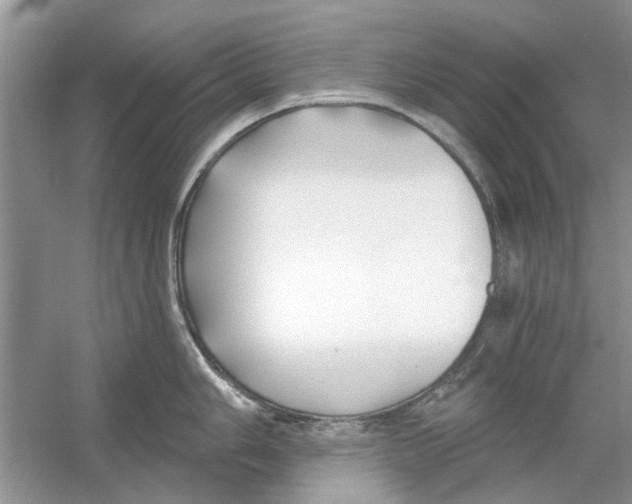 X0000053001006200508051129