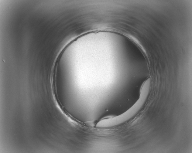 X0000053001007200508051129