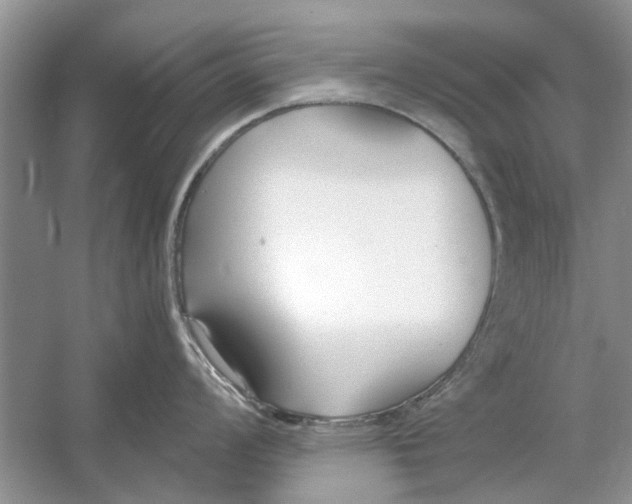 X0000053001008200508051129