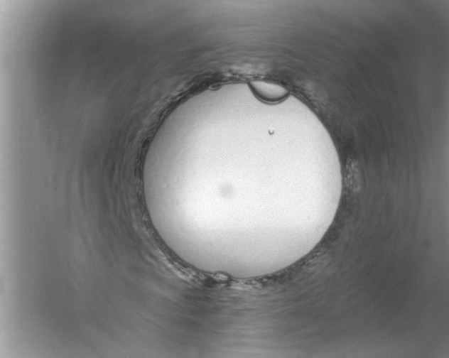 X0000053001009200508051128