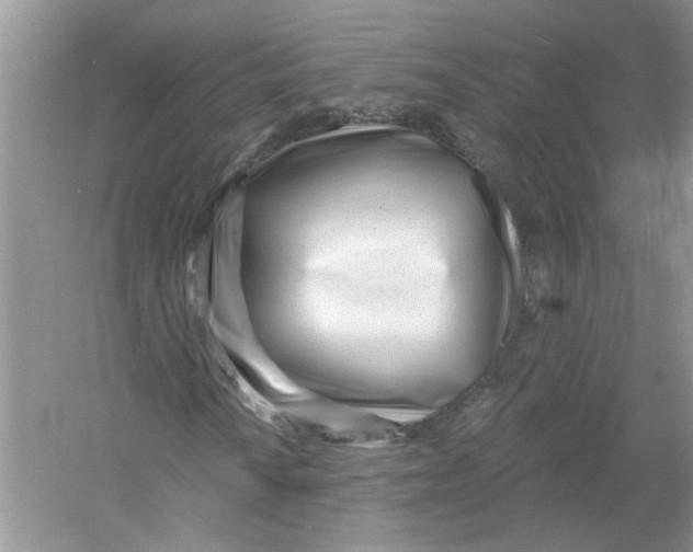 X0000053001010200508051128