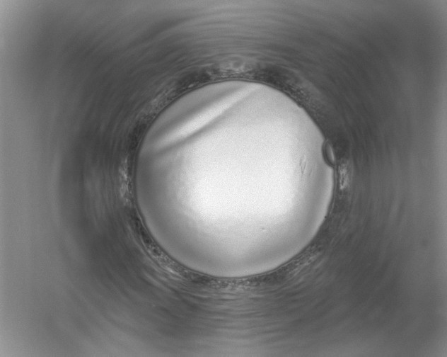 X0000053001011200508051128