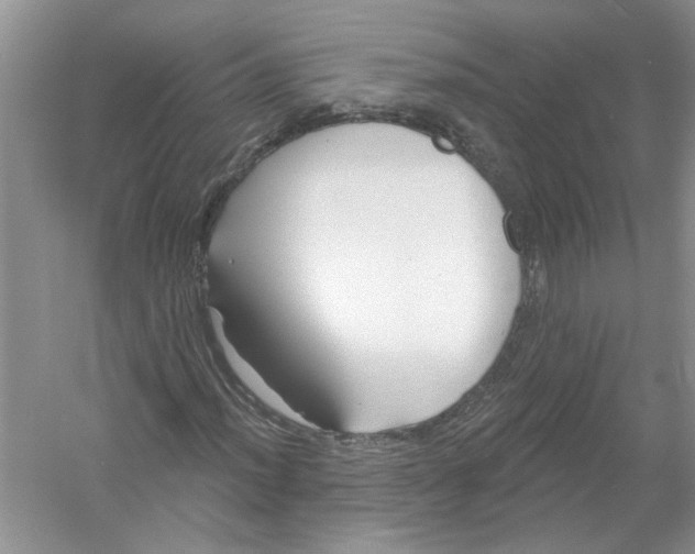 X0000053001012200508051128