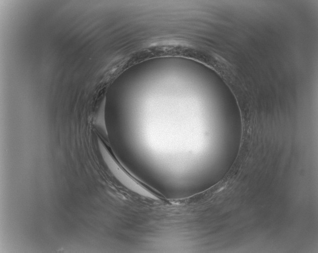 X0000053001014200508051128