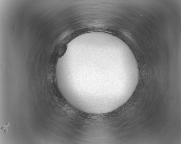 X0000053001015200508051128