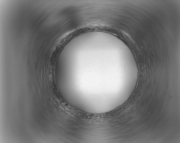 X0000053001016200508051128