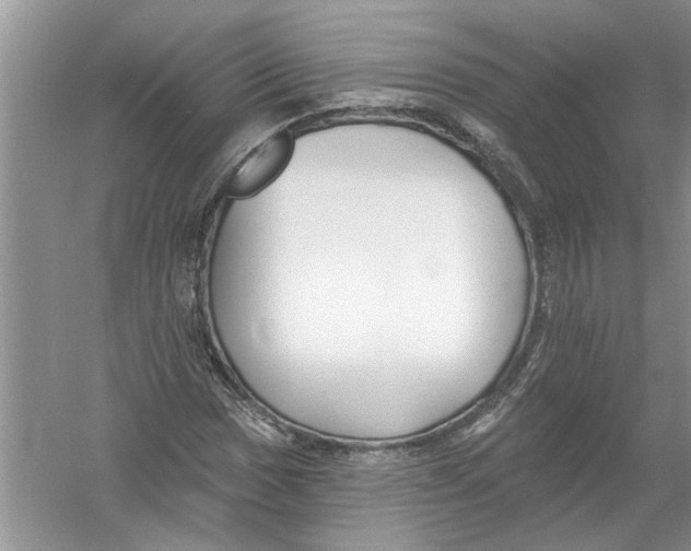 X0000053001017200508051128