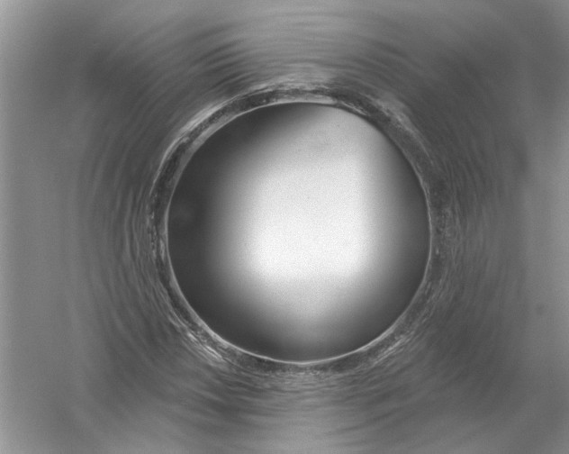 X0000053001018200508051128