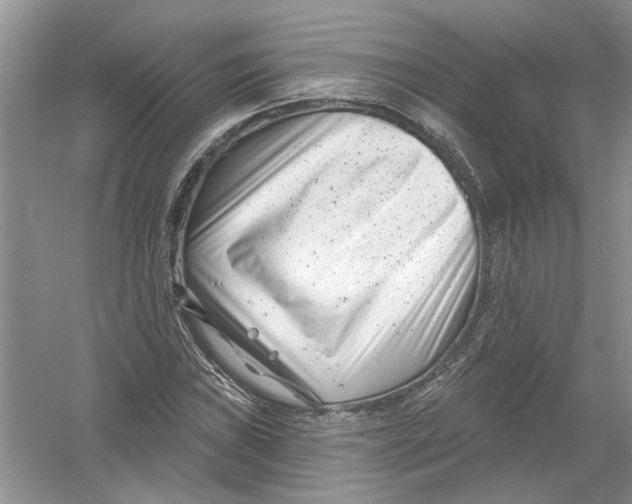 X0000053001019200508051128