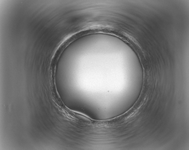 X0000053001021200508051128