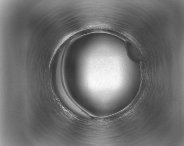 X0000053001022200508051128