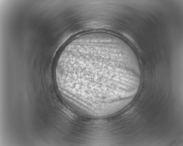 X0000053001023200508051128