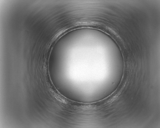 X0000053001025200508051128