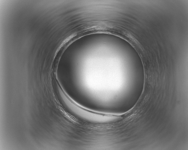 X0000053001026200508051129