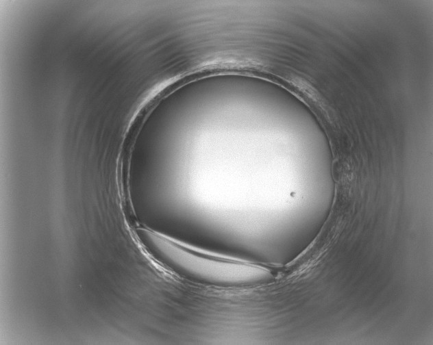 X0000053001030200508051129