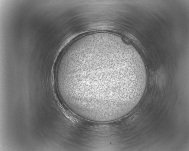 X0000053001031200508051129