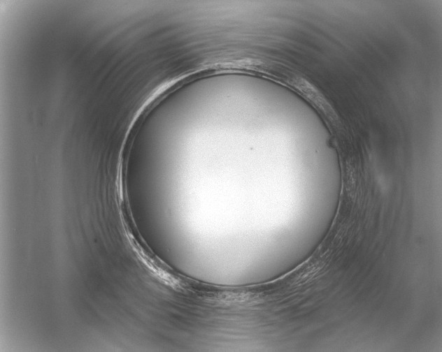 X0000053001036200508051129