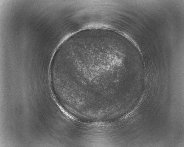 X0000053001037200508051129