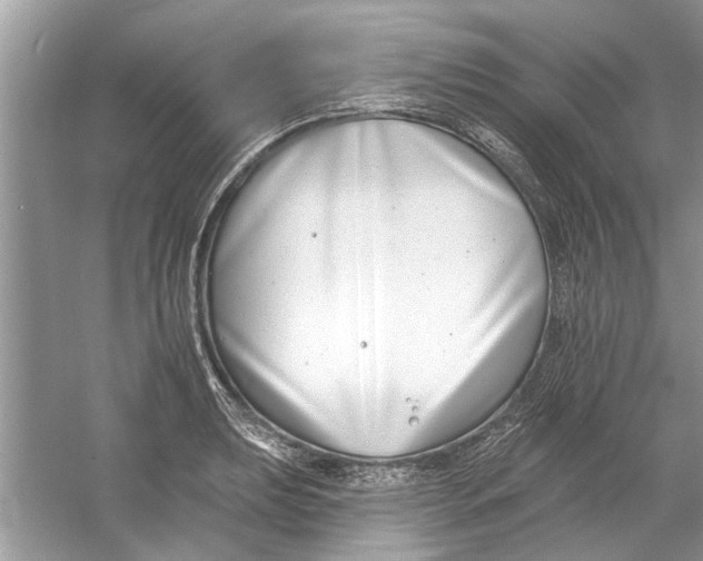 X0000053001039200508051129