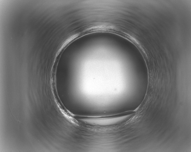 X0000053001042200508051129