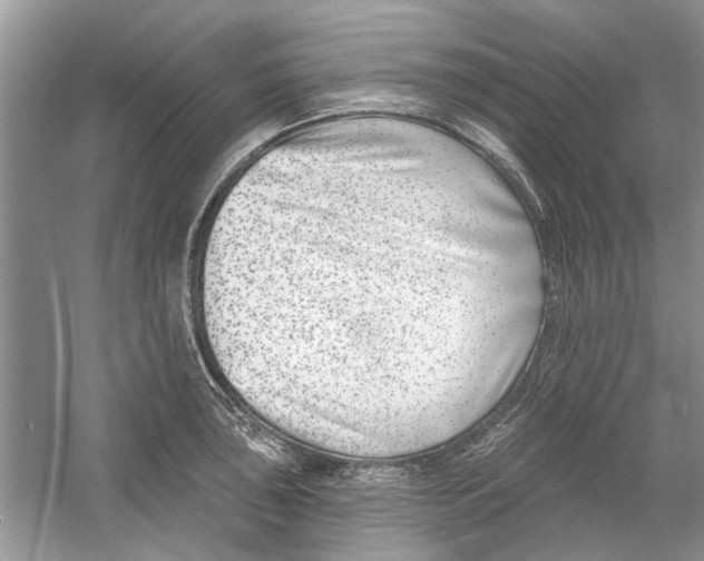 X0000053001043200508051129