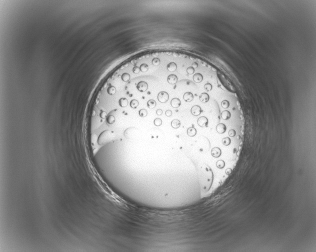 X0000053001044200508051129