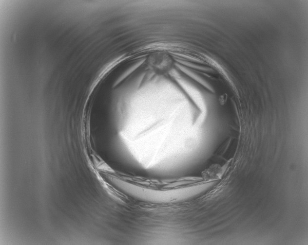 X0000053001050200508051129