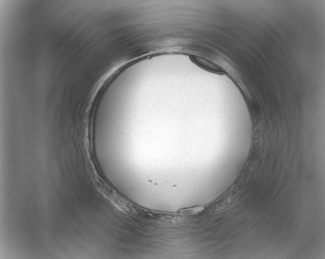 X0000053001051200508051129