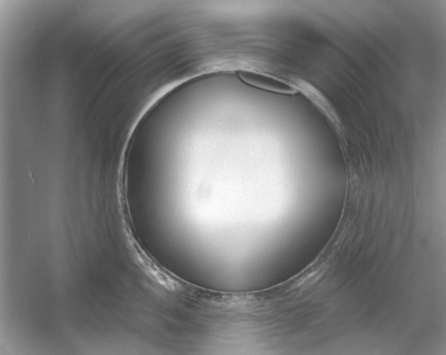 X0000053001052200508051129