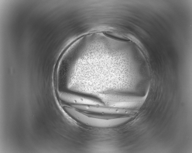 X0000053001055200508051129