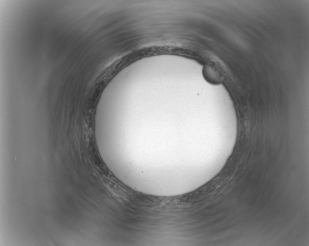 X0000053001064200508051128