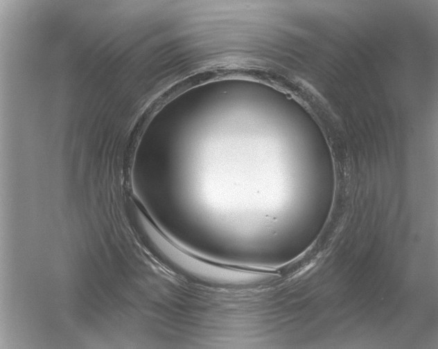 X0000053001065200508051128