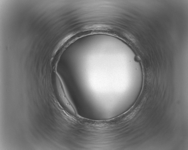 X0000053001066200508051128