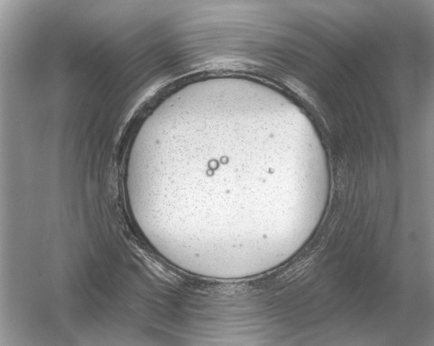 X0000053001067200508051128