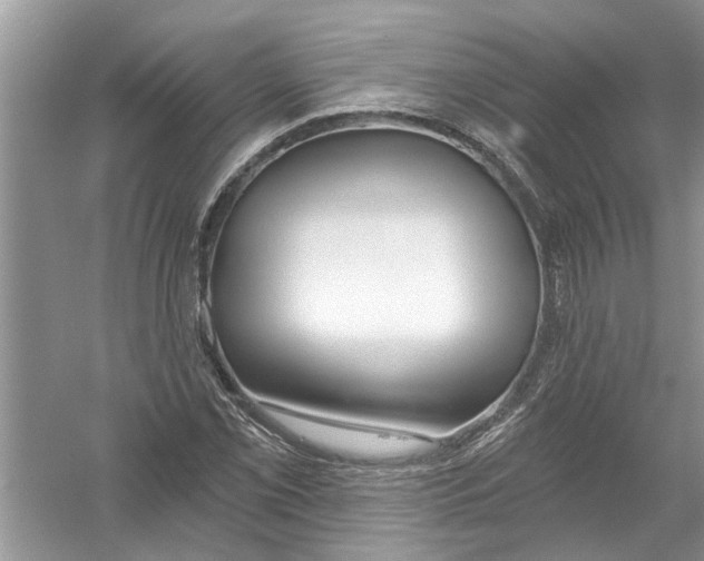 X0000053001069200508051128