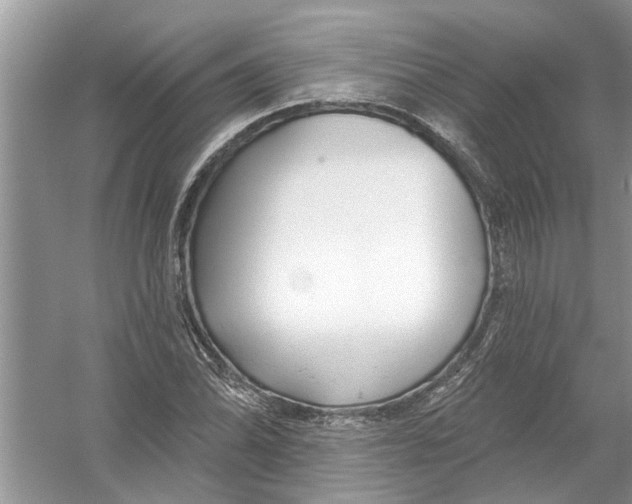 X0000053001070200508051128