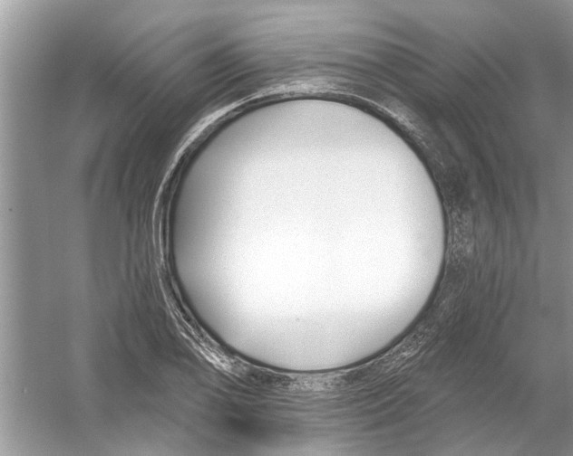 X0000053001078200508051128