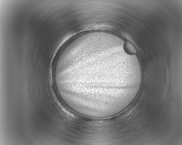 X0000053001079200508051128