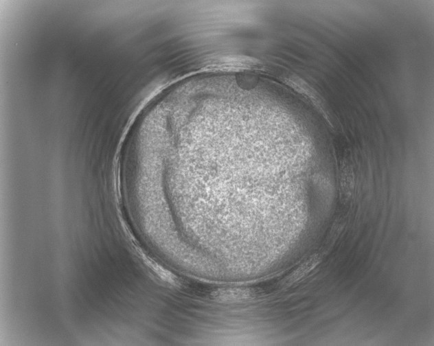 X0000053001083200508051128