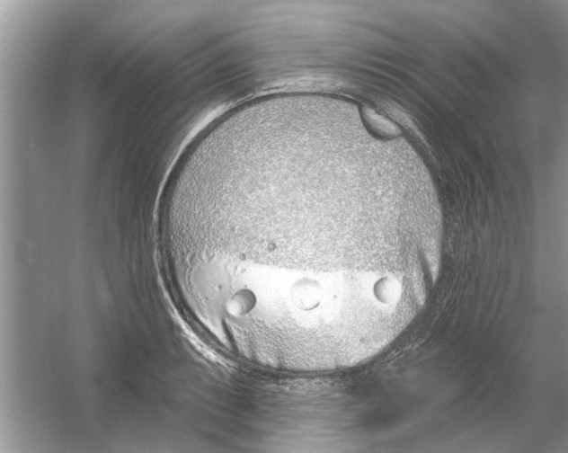 X0000053001087200508051128