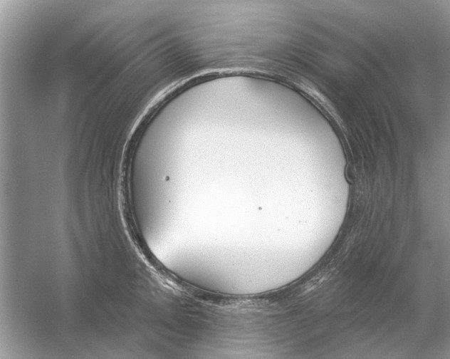 X0000053001093200508051128