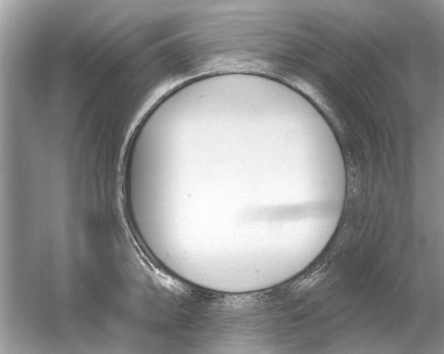 X0000053001094200508051128