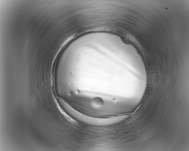 X0000053001095200508051128