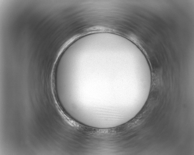 X0000053001098200508051128