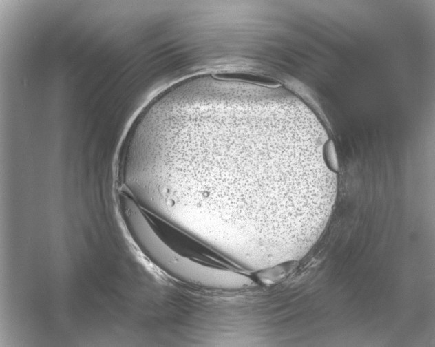 X0000053001099200508051127