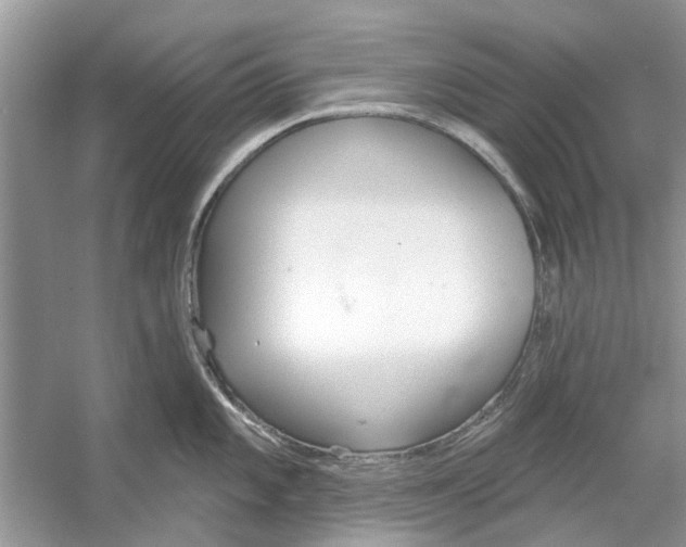 X0000053001101200508051127