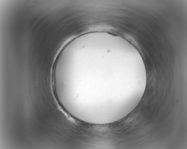 X0000053001103200508051127