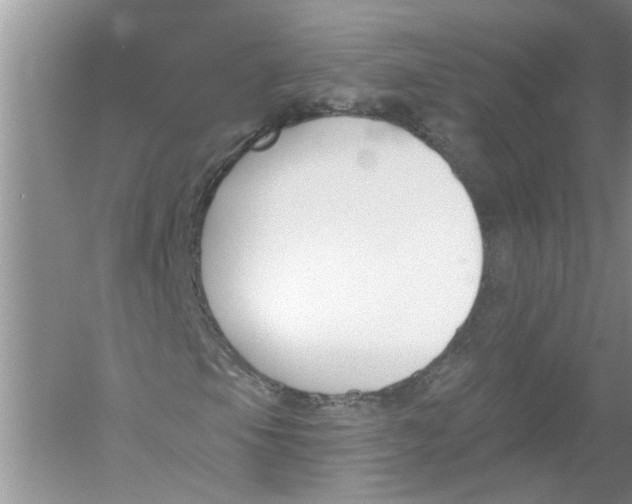 X0000053001105200508051127