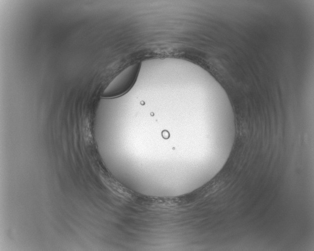 X0000053001106200508051127